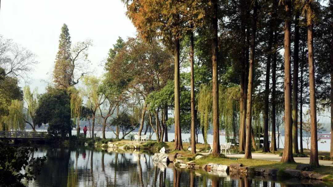 真正的枕西湖水而眠｜西子宾馆，全杭州离西湖最近的床