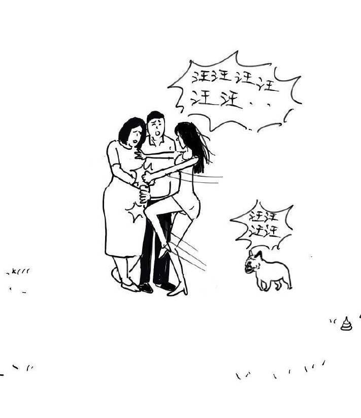 女子因宠物狗殴打老人,女子因爱犬被暴打