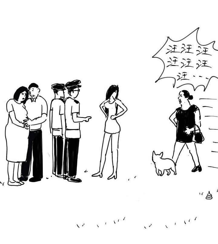 女子因宠物狗殴打老人,女子因爱犬被暴打