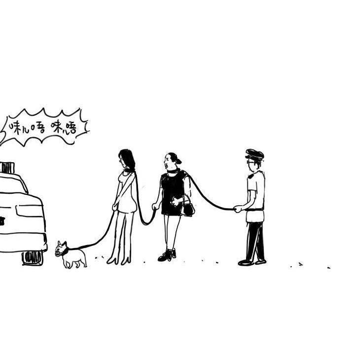 女子因宠物狗殴打老人,女子因爱犬被暴打