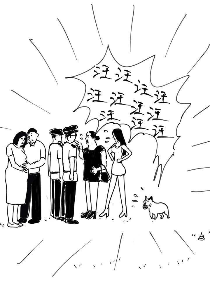 女子因宠物狗殴打老人,女子因爱犬被暴打