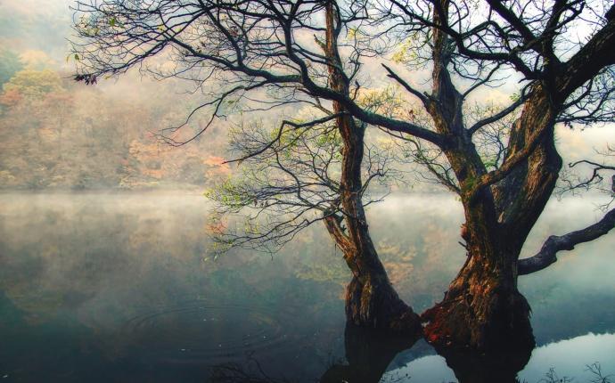 十首磅礴大气的诗词豪情万丈,40句最通透豁达的诗词超然洒脱