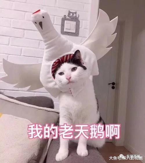 九万块究竟花到哪了？被消费降级式应援笑哭！