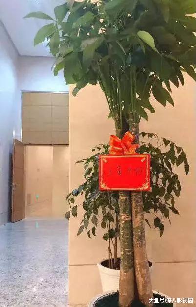 九万块究竟花到哪了？被消费降级式应援笑哭！