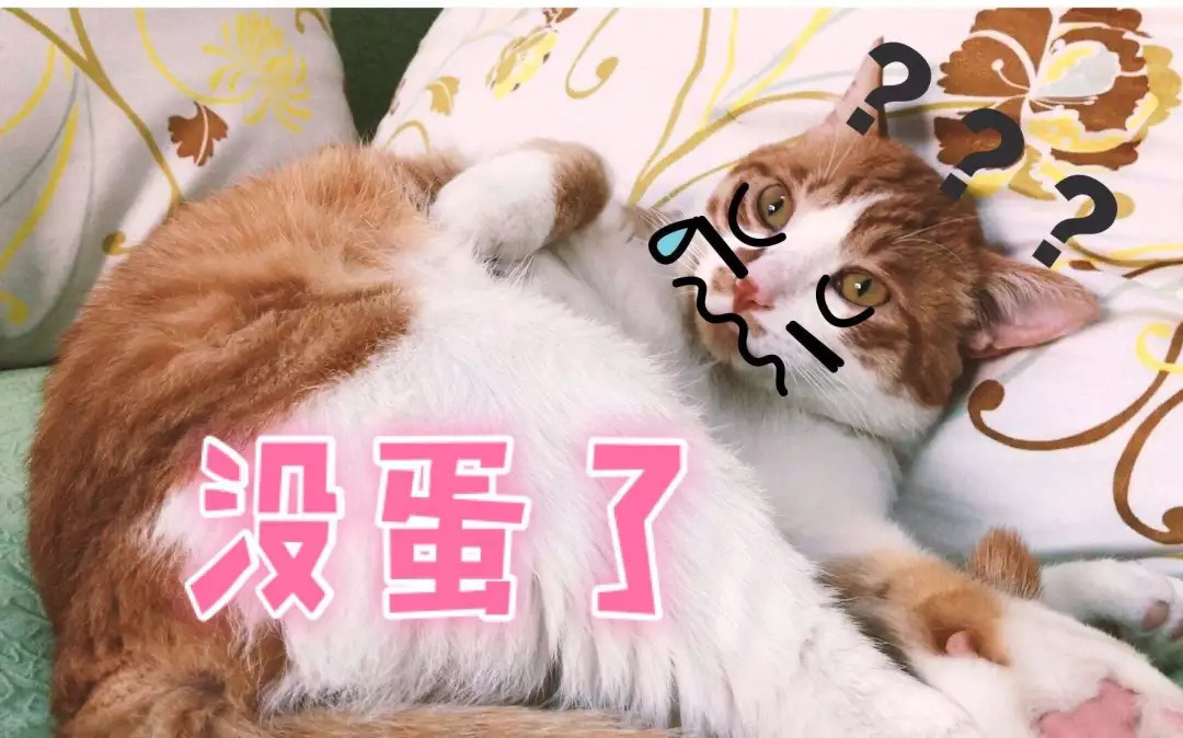 女朋友非要让我结扎怎么办,女朋友要给我做绝育怎么回复