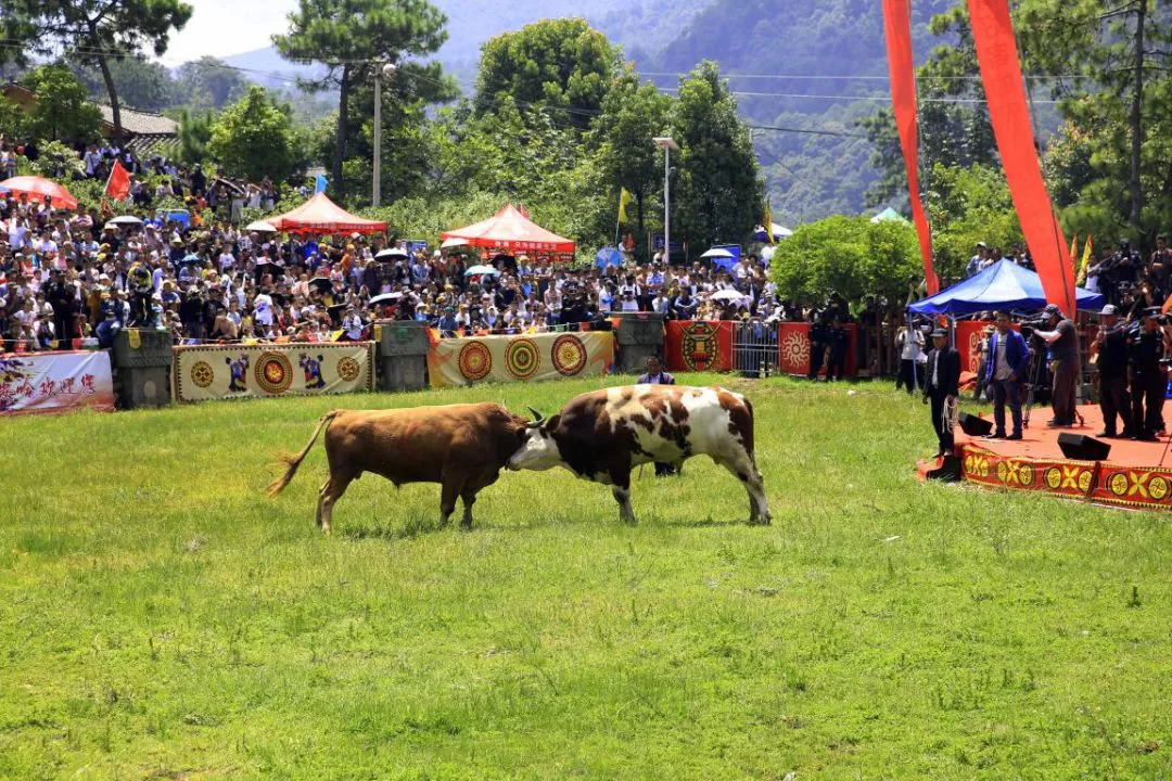 七彩西昌安宁河,七彩西昌排名第几