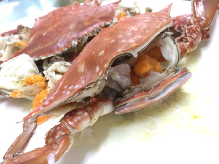 蝶岛海鲜东山岛特产,蝶岛海鲜