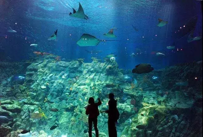 国庆丽江旅游报价,国庆节去丽江需要多少钱