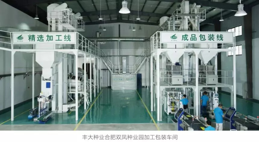 种业振兴十大领军企业,打造行业第一民族品牌