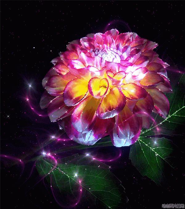 会动的视觉图片14张,会动的图片21张太美了