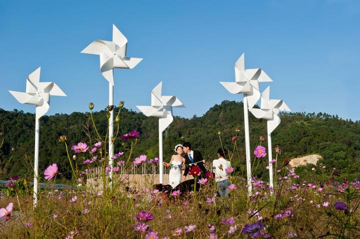 改革开放40年温州“台元素”⑥台货台味成市民日常消费