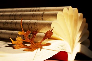 aabcabcc的四字成语大全,成语aabc一年级到二年级