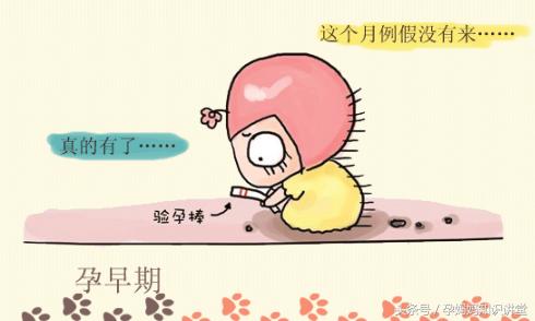 怀孕40周产检流程,孕检40周做b超有哪些项目