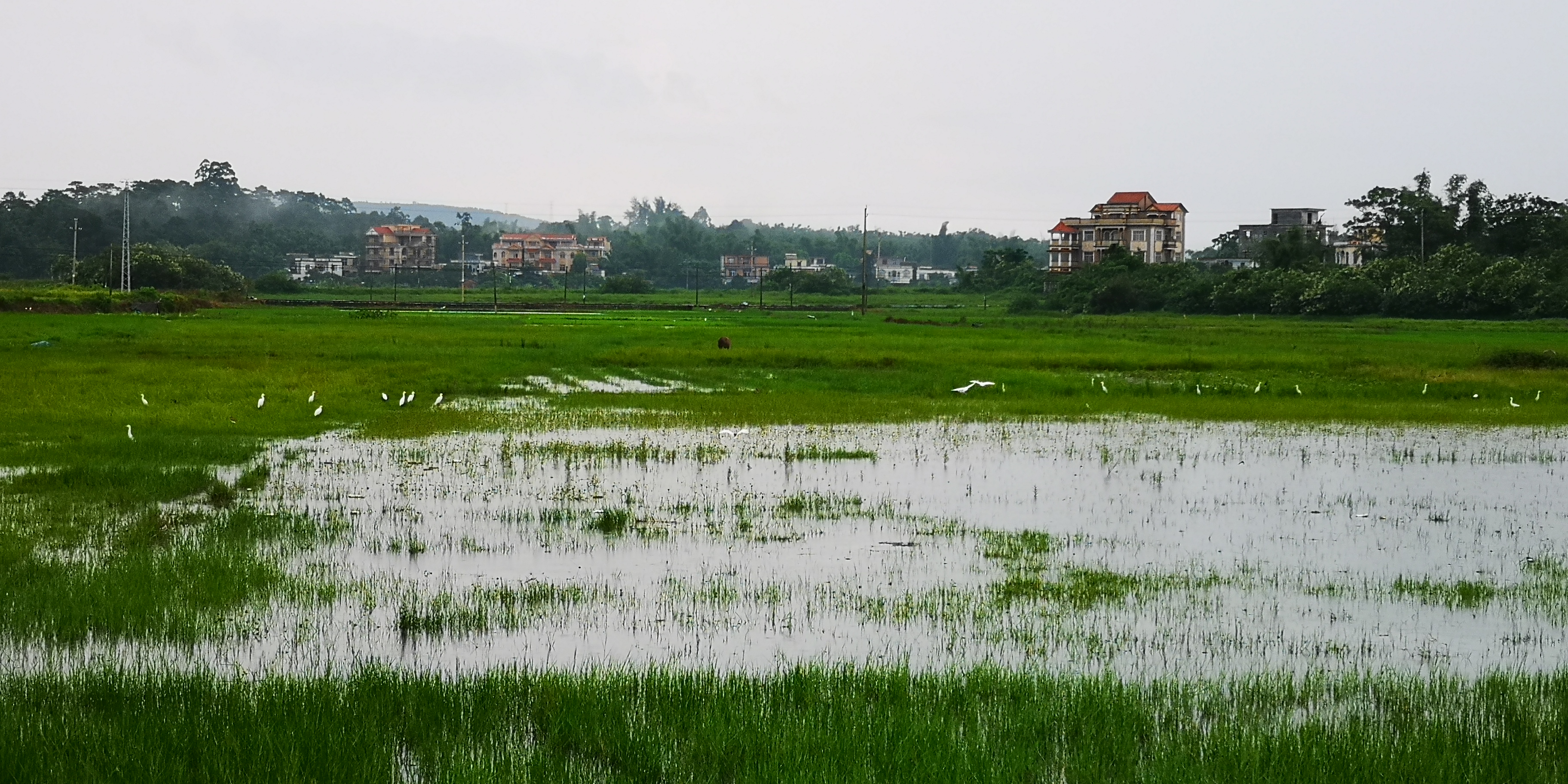 银滩吃海鲜攻略,银滩海鲜大餐推荐