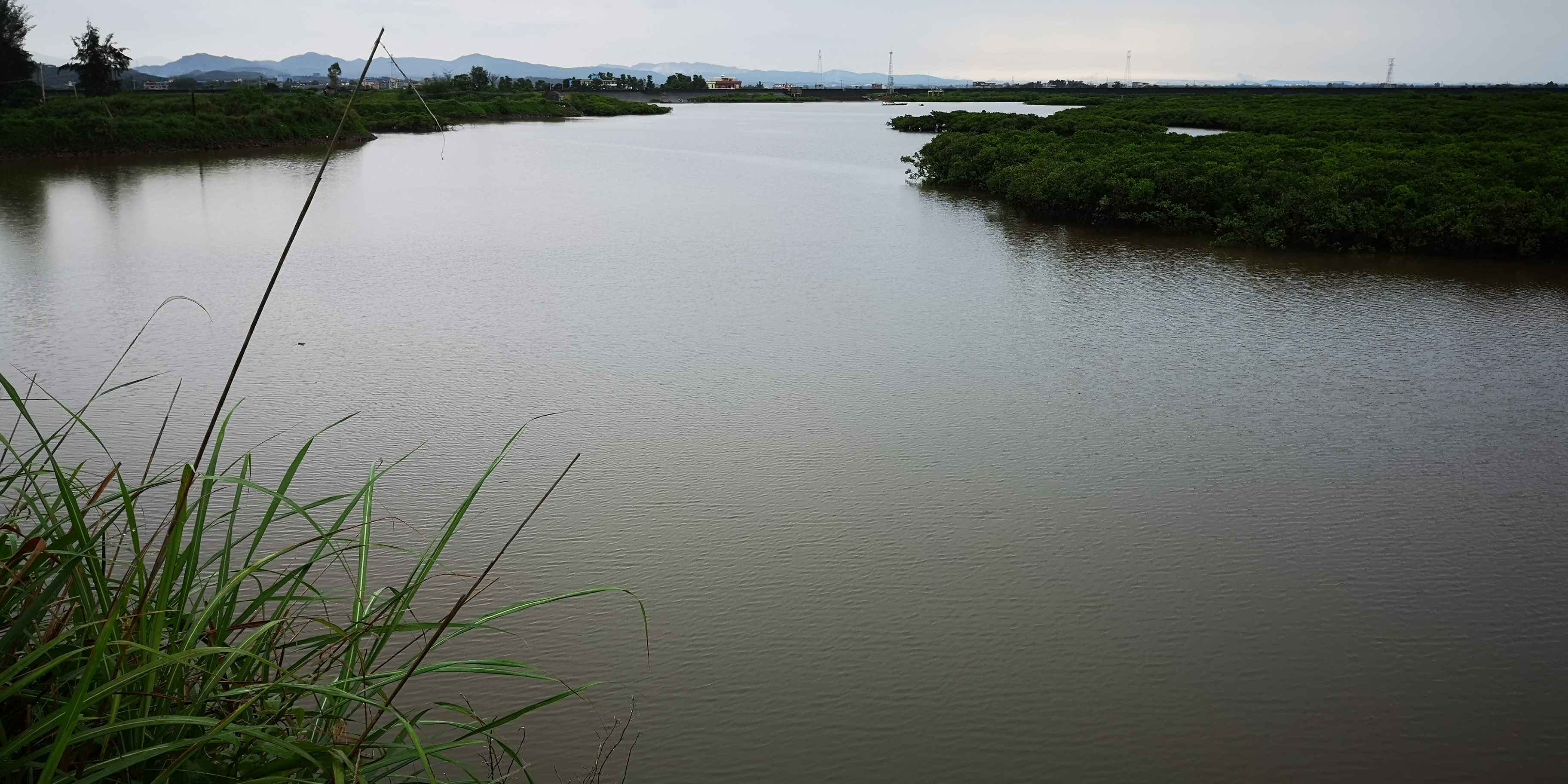 银滩吃海鲜攻略,银滩海鲜大餐推荐