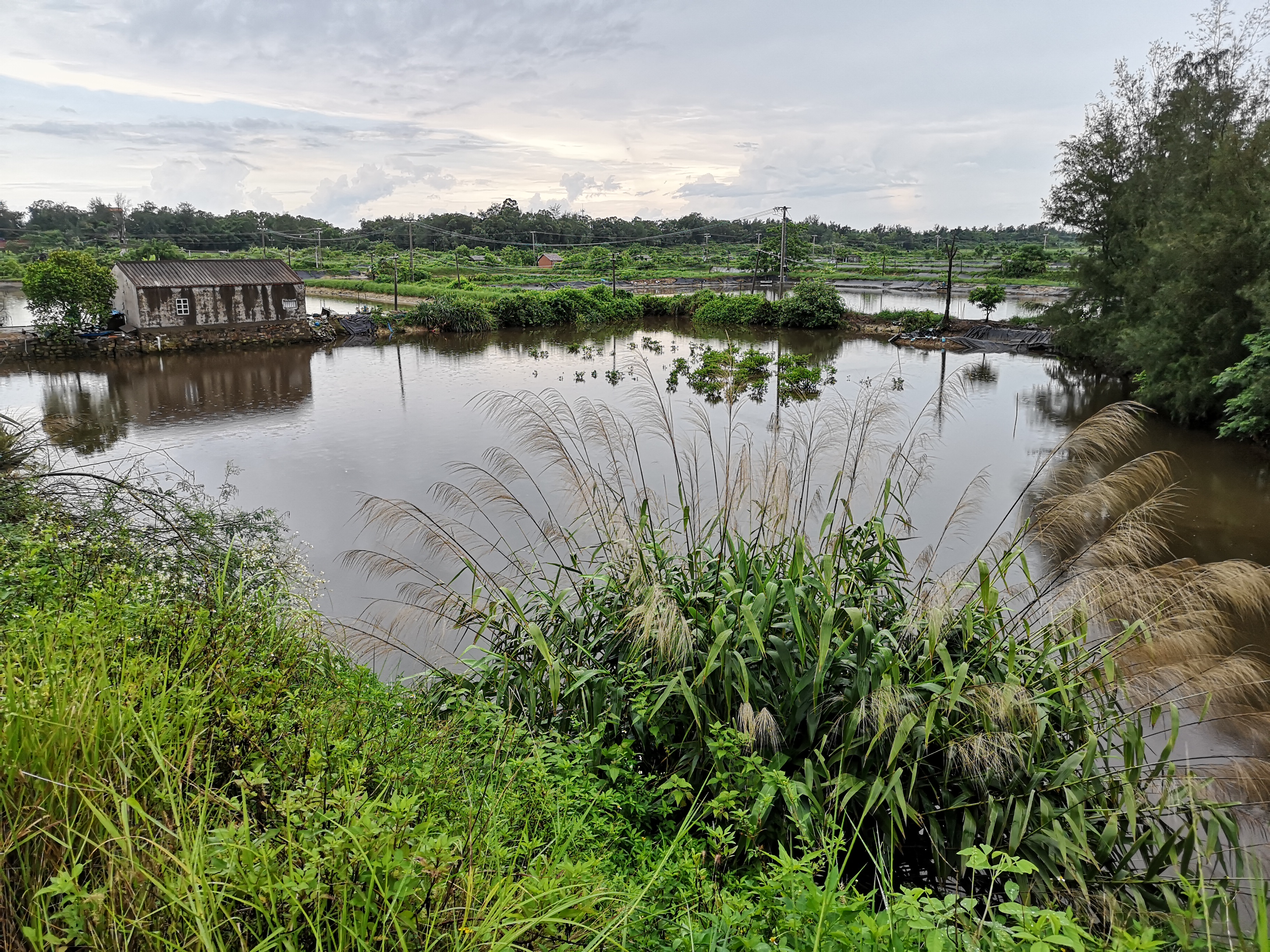 银滩吃海鲜攻略,银滩海鲜大餐推荐