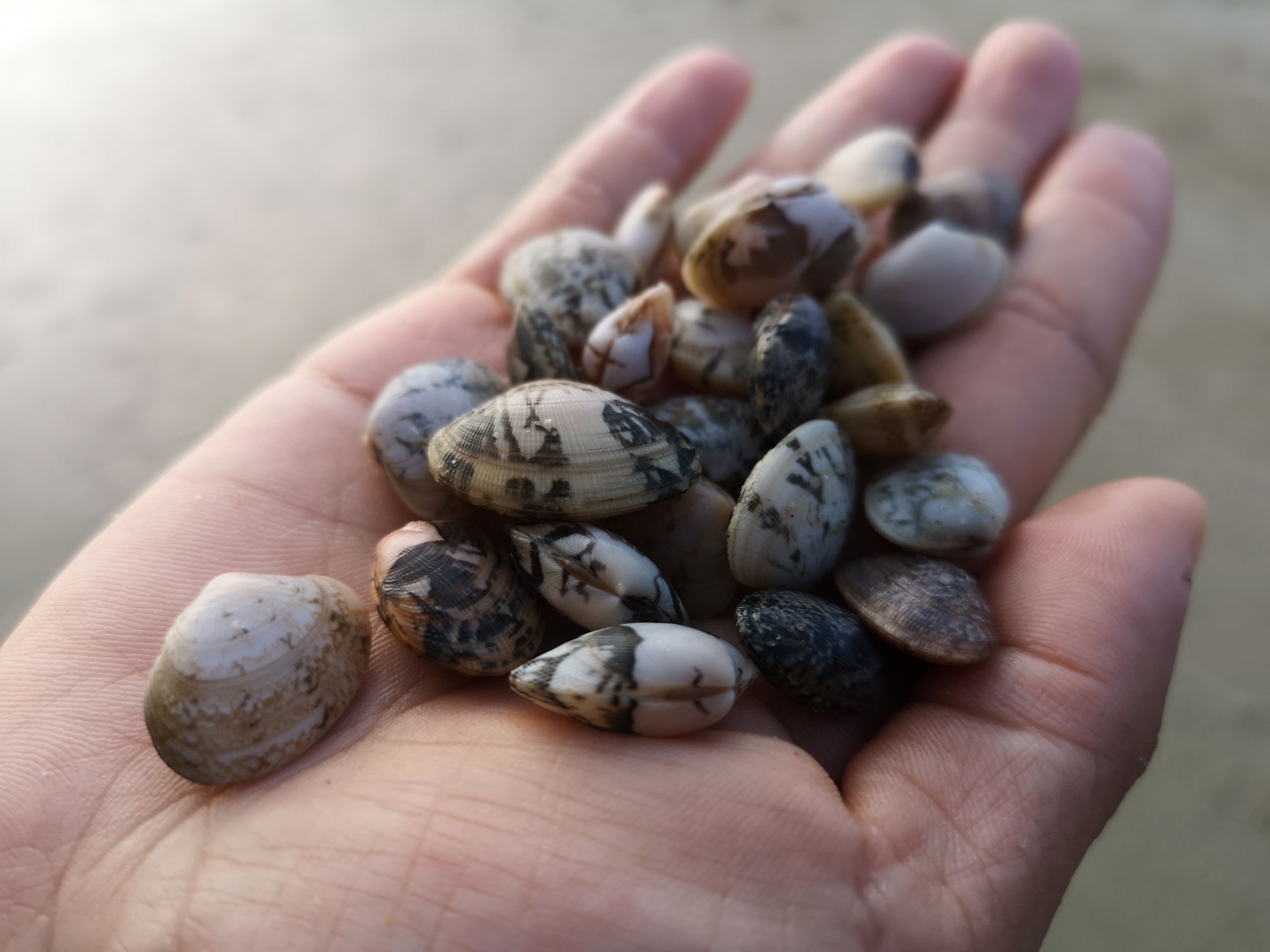 银滩吃海鲜攻略,银滩海鲜大餐推荐