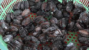 菊花岛探秘,大连海岛游菊花岛