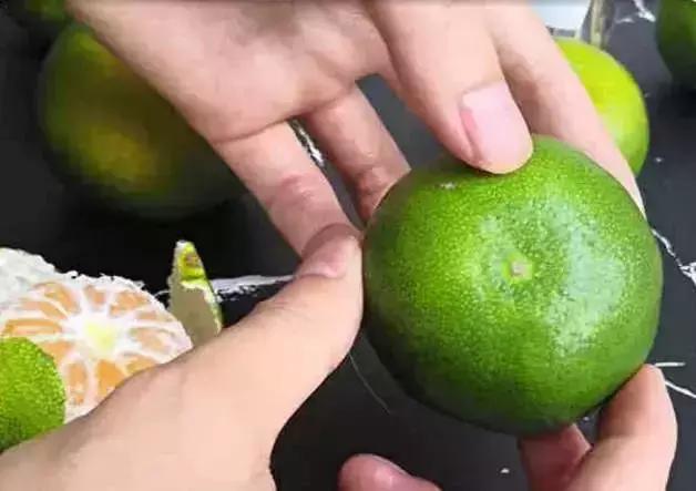 现在正当季的橘子品种有哪些,秋橘子怎么挑