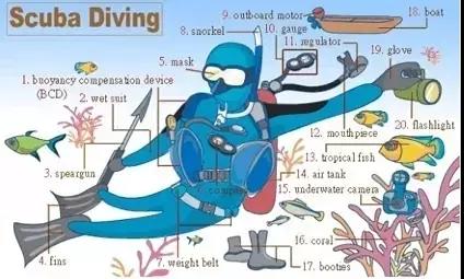 36张图让你记住英语所有常用生活用词，果断收藏！（二）