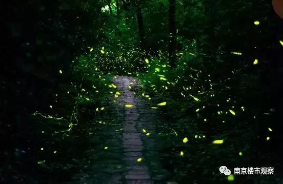 首付20万内能住进去的房子,首付20万能买什么样的房子南京