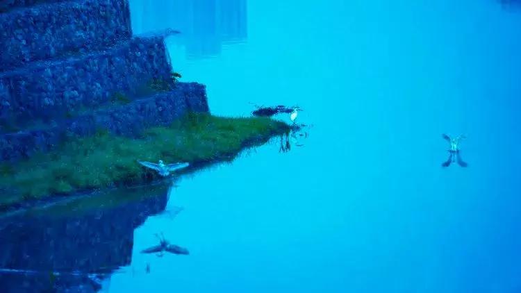 天台人的“外滩”——你看得见、摸得着的美丽!