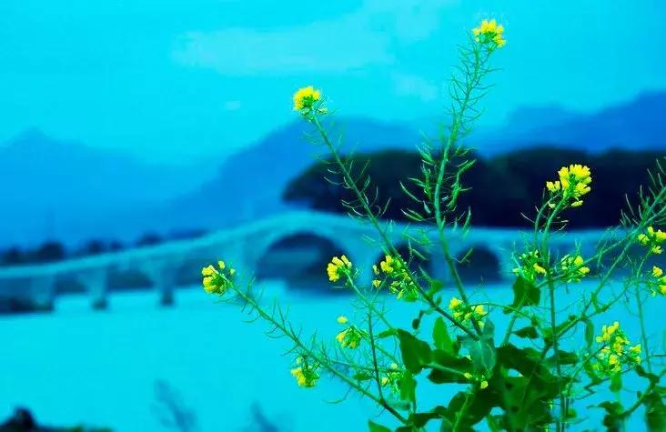 天台人的“外滩”——你看得见、摸得着的美丽!