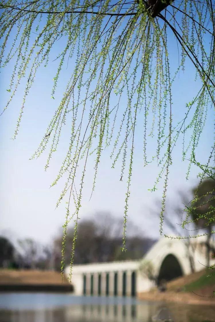 天台人的“外滩”——你看得见、摸得着的美丽!