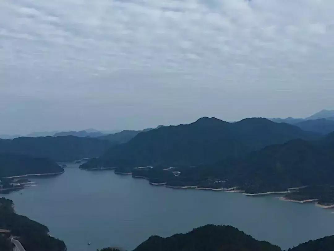 我是广东人但我不会讲粤语完整版,我是广州人但我不会说广州话