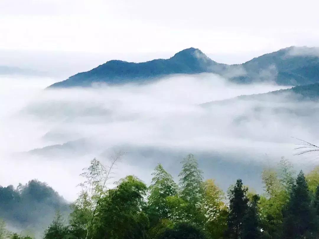 我是广东人但我不会讲粤语完整版,我是广州人但我不会说广州话