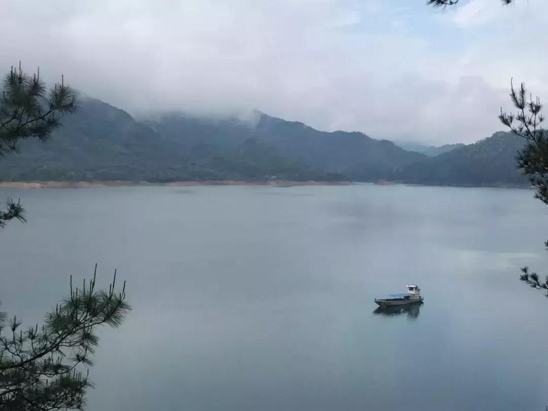 我是广东人但我不会讲粤语完整版,我是广州人但我不会说广州话