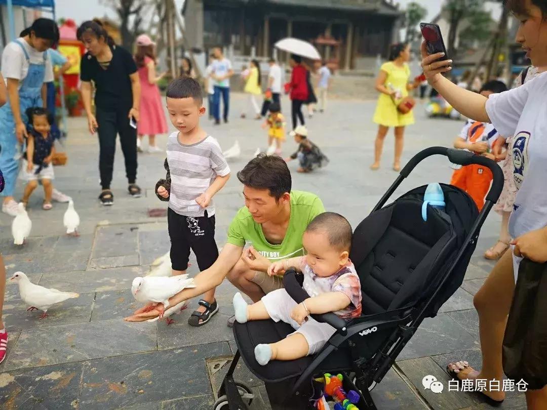 西安打卡公园必去的地方,西安打卡风景公园