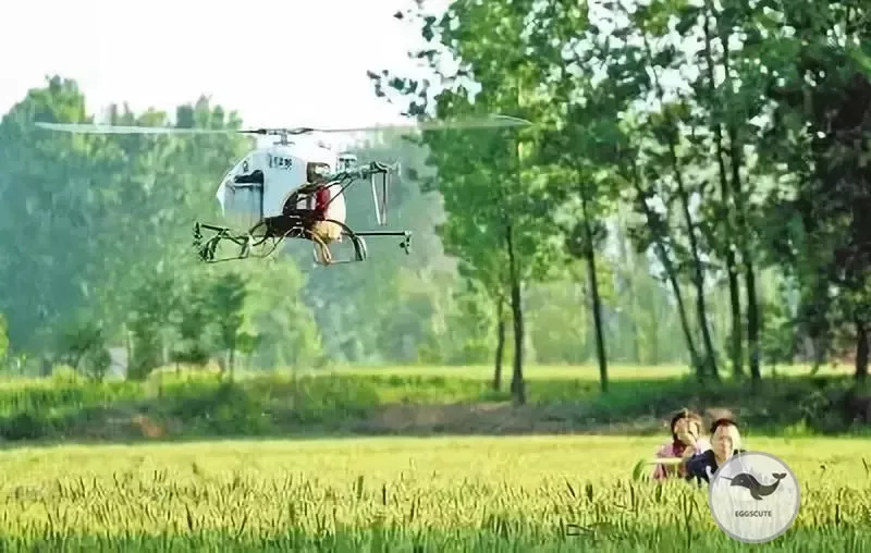 现今的物价，在美国1美元可以买到些什么？