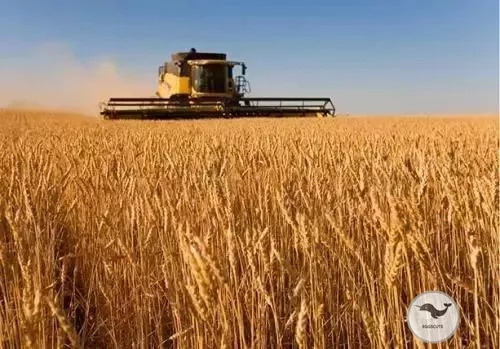 现今的物价，在美国1美元可以买到些什么？