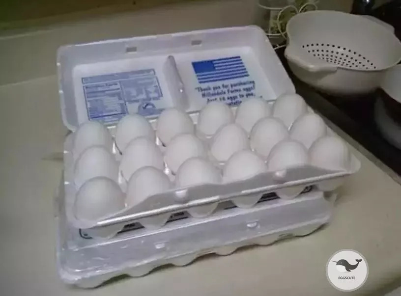 现今的物价，在美国1美元可以买到些什么？