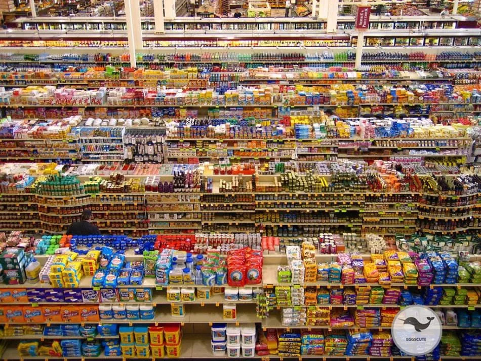 现今的物价，在美国1美元可以买到些什么？