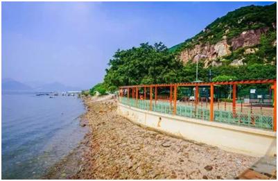 周末,假期哪里浪?香港接入全国高铁网!冲鸭!浪鸭!