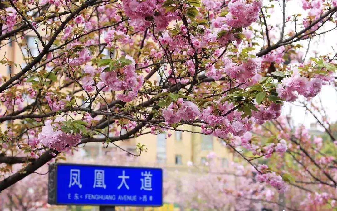 成都邛崃藏在深山中的世外桃源,成都邛崃最值得去的地方