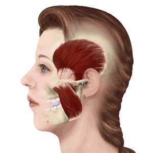 赵丽颖生产后一个月还未露面,赵丽颖从怀孕到休息多久