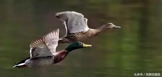 今天9月12日，千年一遇的双福日，双倍祝福送给朋友们愿你幸福久久