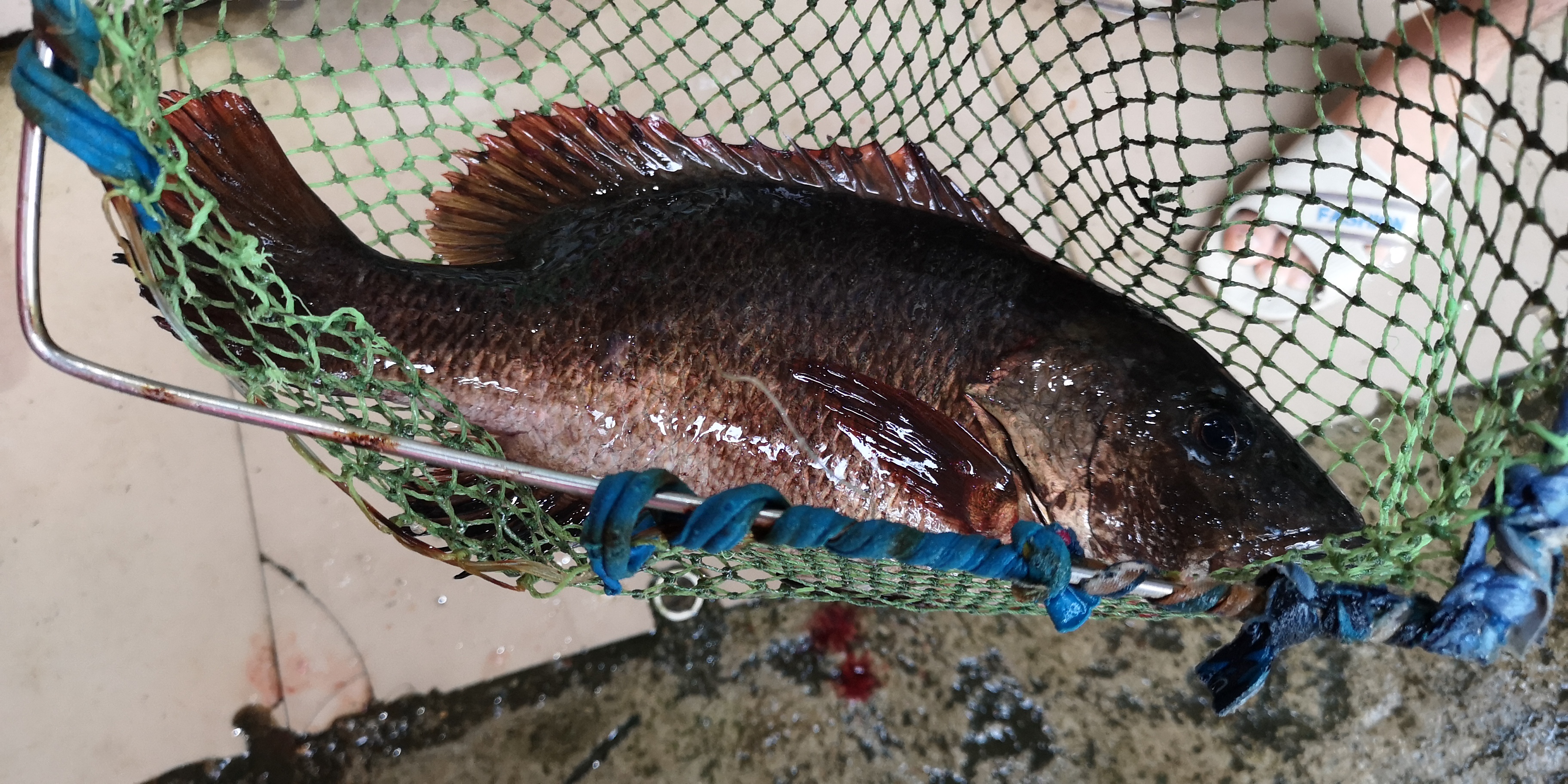 银滩吃海鲜攻略,银滩海鲜大餐推荐