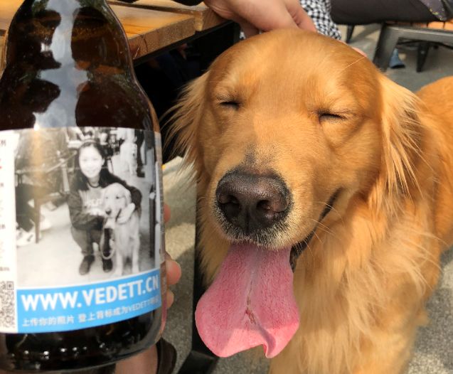 聚会当然少不了的美食,聚餐少不了什么