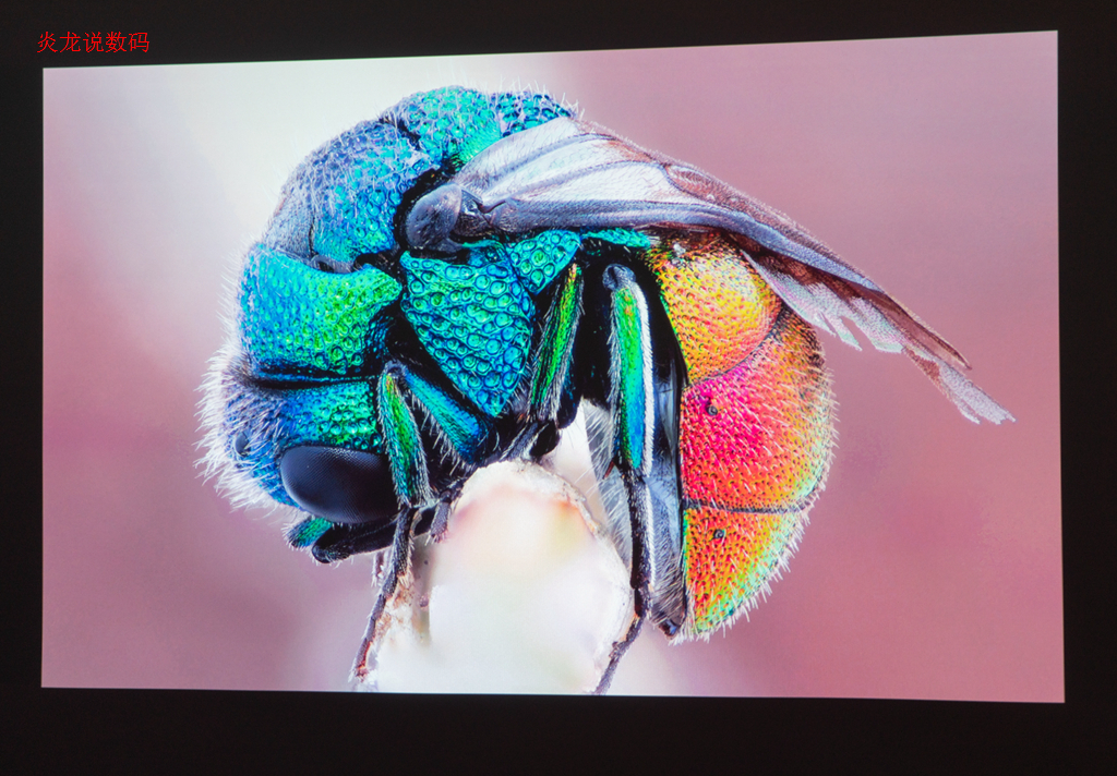 明基i707和i705哪个值得入手,明基i705和爱普生tw5700tx