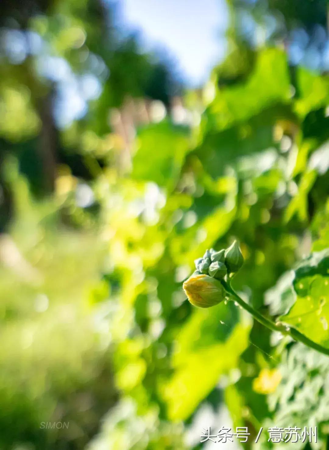 苏州好吃店铺,苏州好吃店