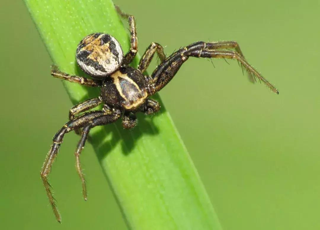 计生委生孩子,计生证是生孩子之前还是以后办理