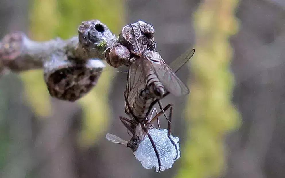计生委生孩子,计生证是生孩子之前还是以后办理
