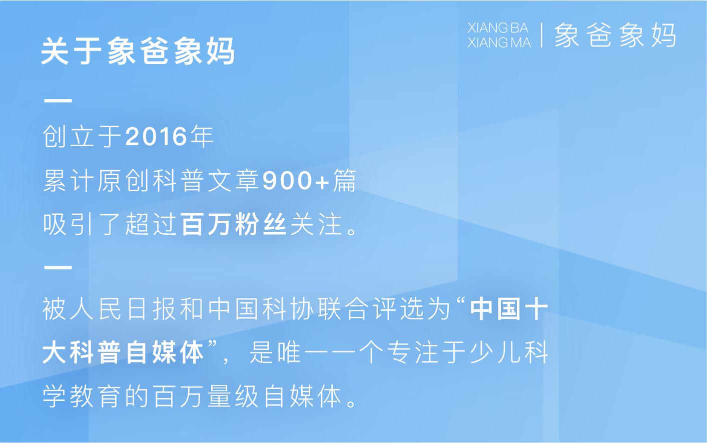 计生委生孩子,计生证是生孩子之前还是以后办理