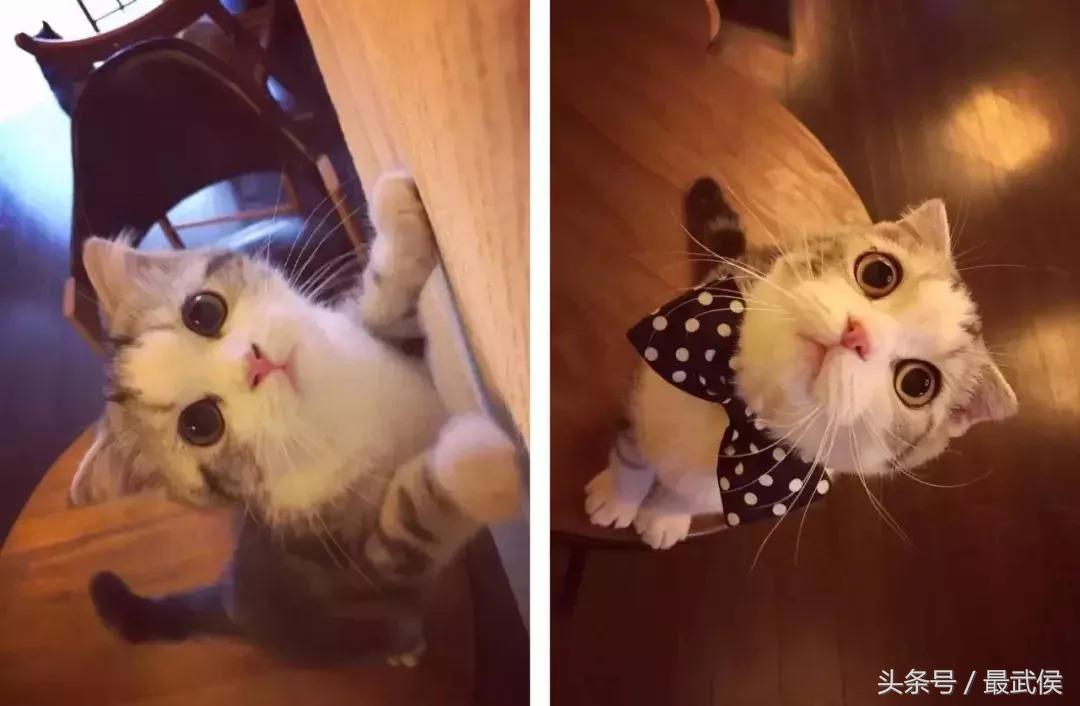 成都最省钱的攻略,成都出行攻略最全推荐