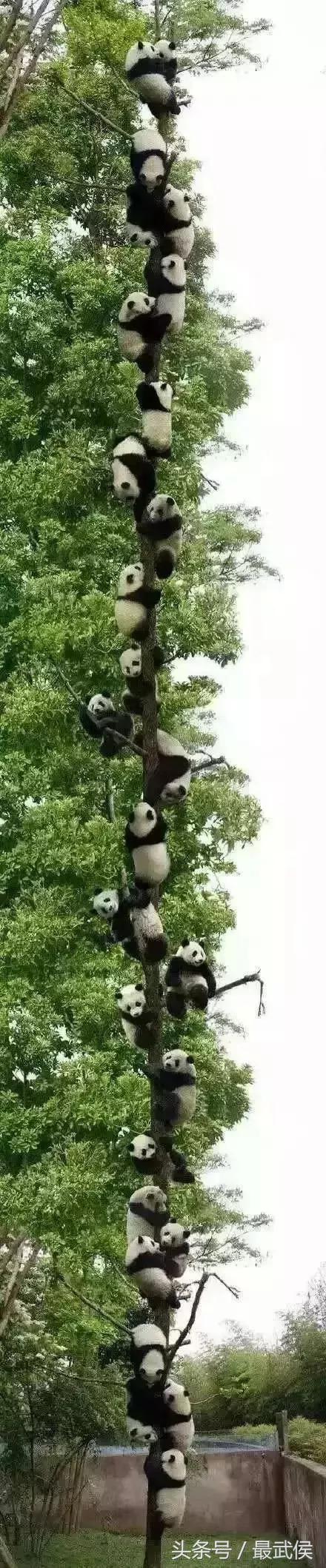 成都最省钱的攻略,成都出行攻略最全推荐