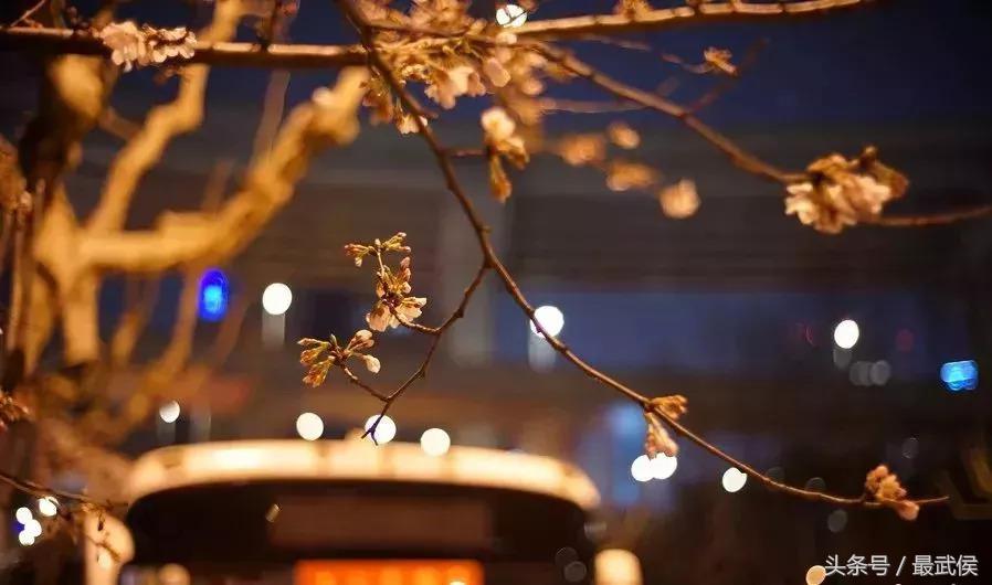 成都最省钱的攻略,成都出行攻略最全推荐